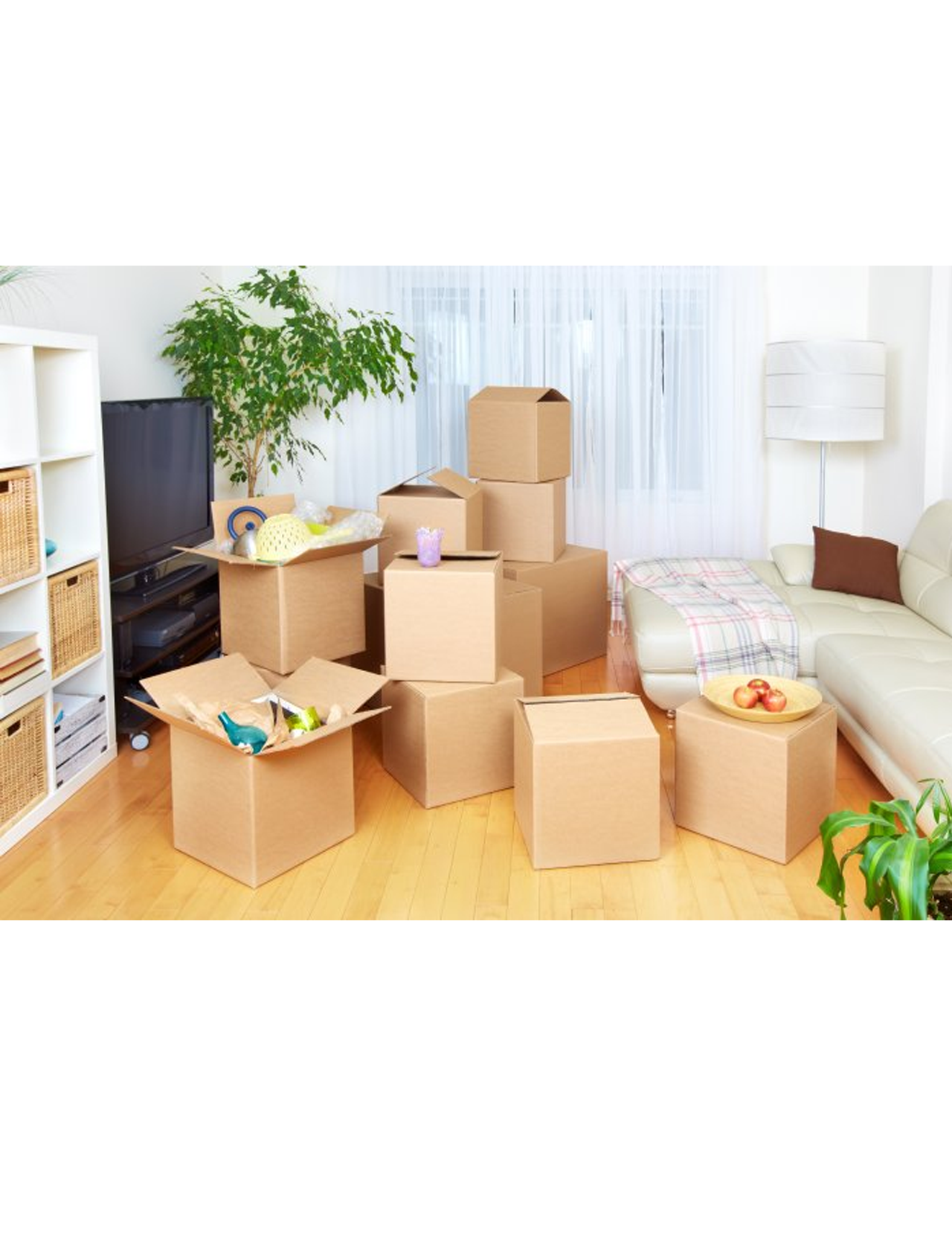 Packers and Movers